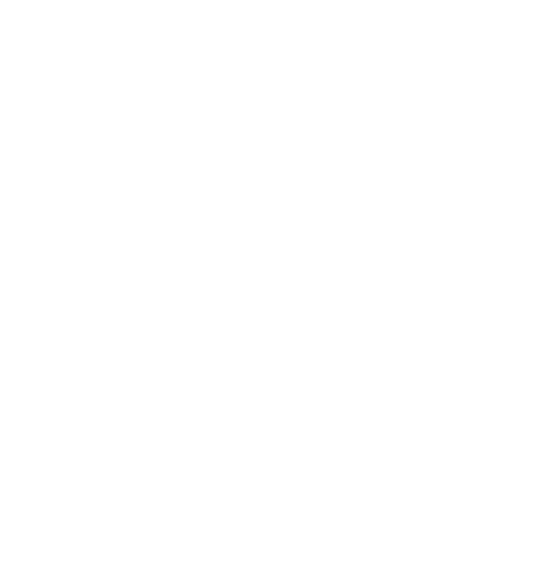 QRS International AG