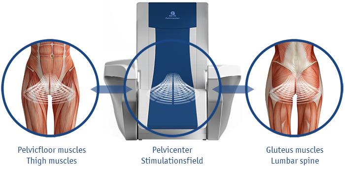 QRS Pelvicenter Stimulationsfeld